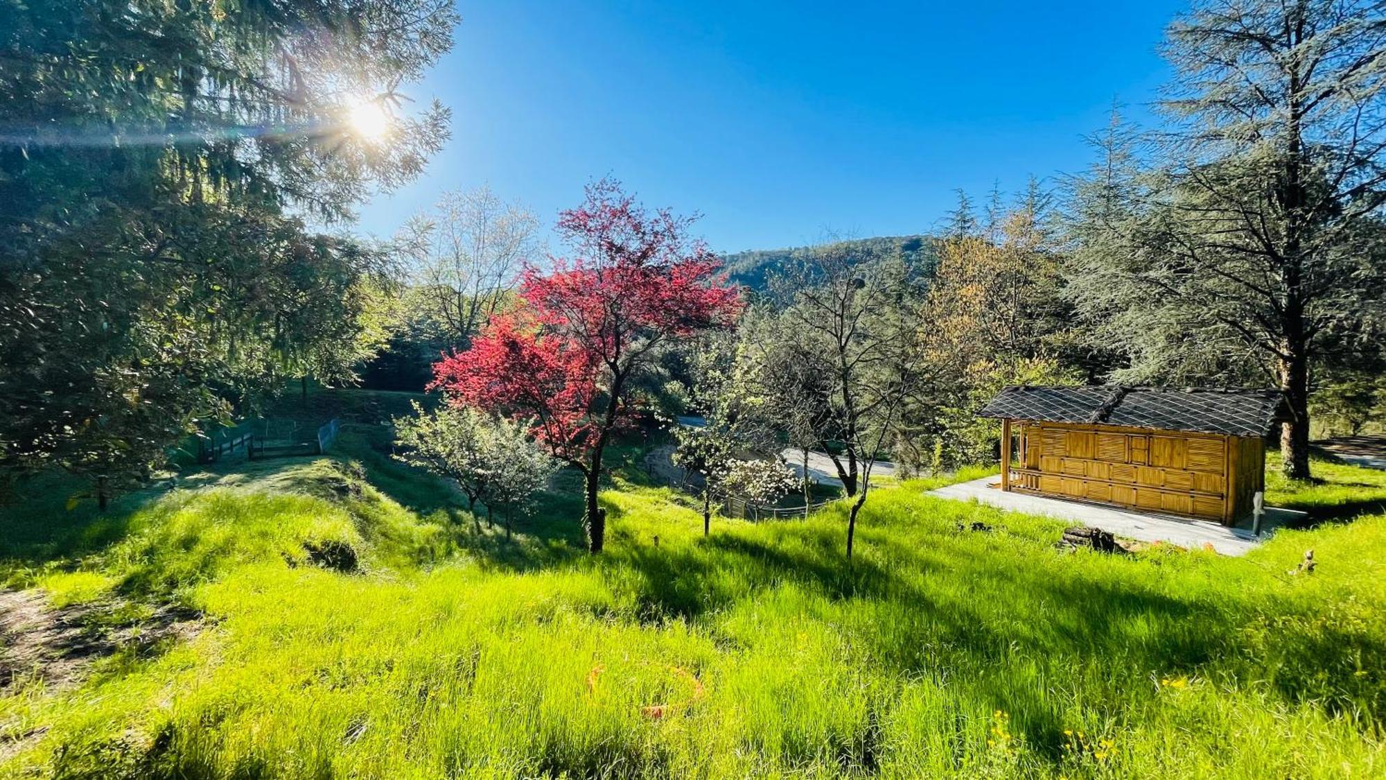 Suite Bambou Bien-Etre A Bali - Le Soleil Des Cevennes Saint-Jean-du-Gard Exterior photo